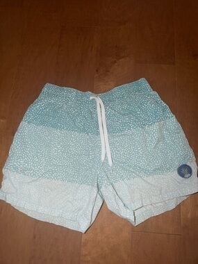 chubbies Light Teal & White Patterned Swim Trunks